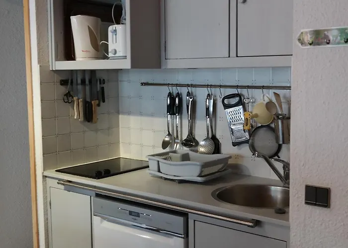 Renove, Coeur De Station, Balcon Avec Vue, 4 Pers - Fr-1-181-1037 * La Plagne